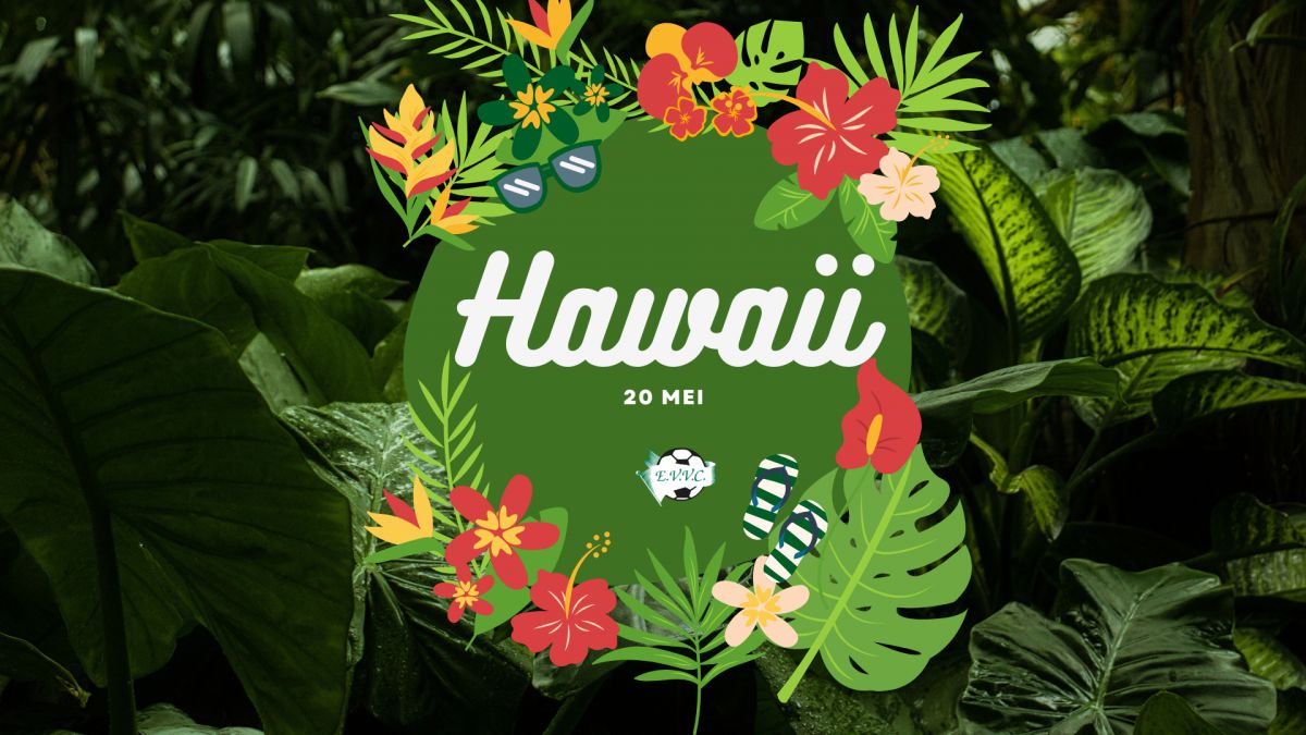 Hawaii Feest