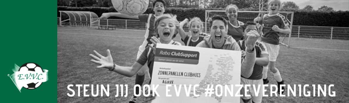 Jouw stem is geld waard!